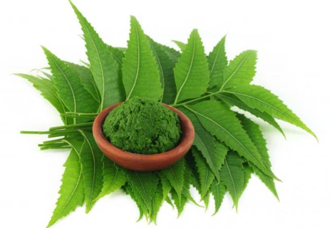 Neem